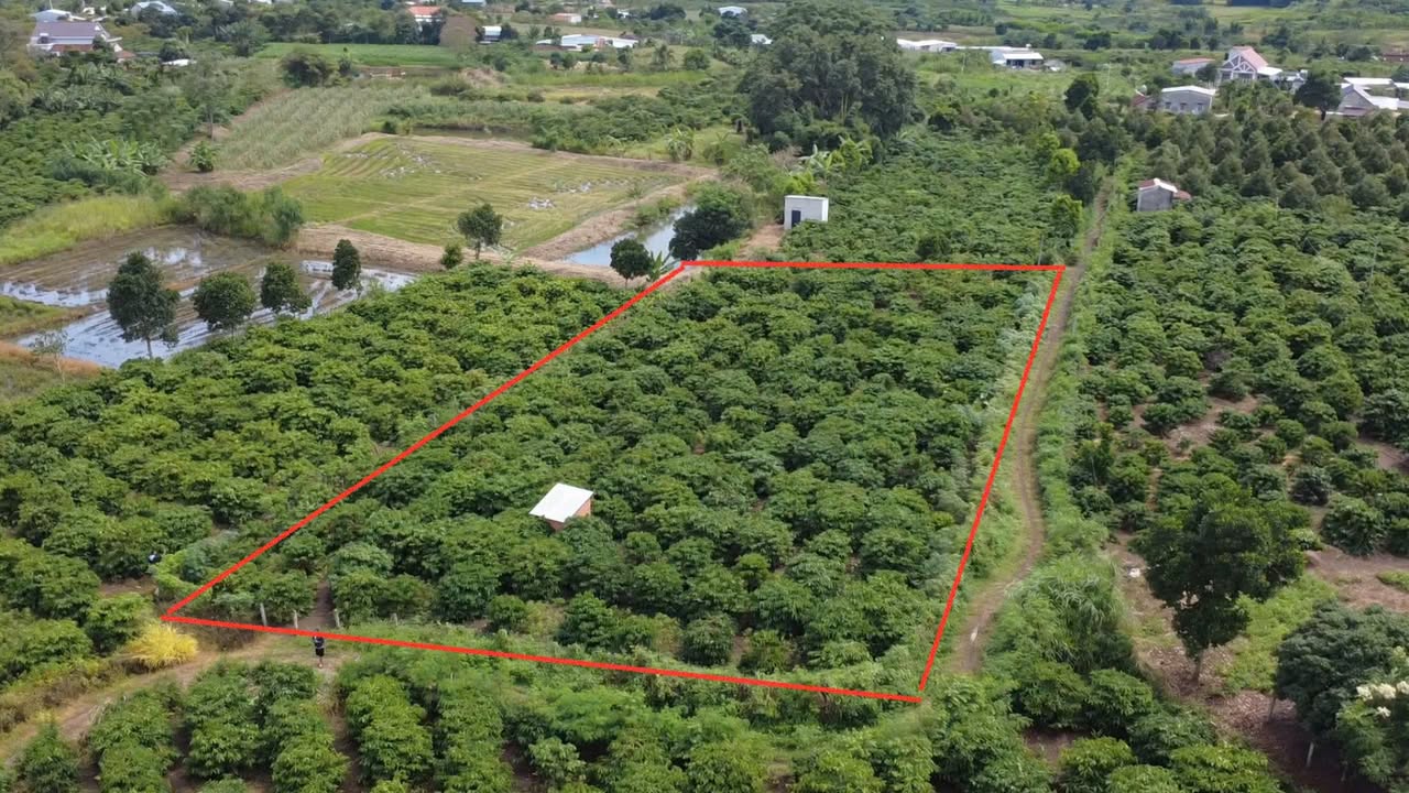 Đất nền kinh doanh 2400m² tại Thị trấn Ea Kar giá chỉ 600 triệu - Cơ hội đầu tư hấp dẫn!