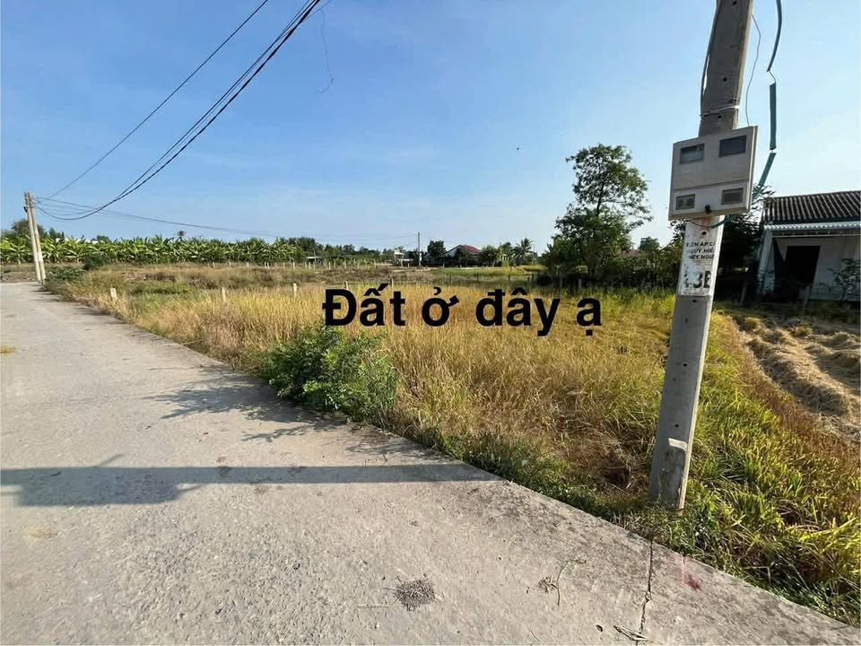 Đất thổ cư 75m² mặt tiền đường Nguyễn Văn Đường, Tân Bình - Chỉ 350 triệu!