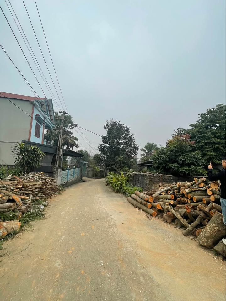 Đất nền khu 2 Phú Thọ 104m² giá 900 triệu - Đầu tư sinh lời ngay!