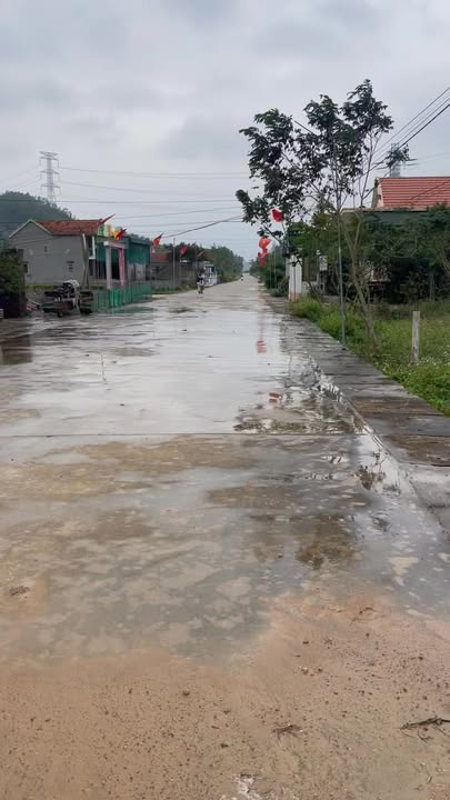 Đất nền tại Xã Quỳnh Lâm, Huyện Quỳnh Lưu 160m² - Đường chính liên xã thuận lợi!