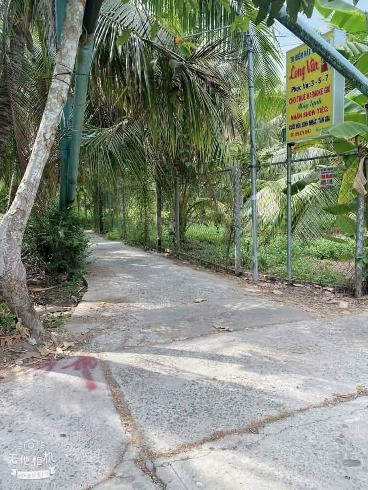 Đất nền Bến Tre 1.314m² giá 980 triệu - Cơ hội đầu tư hấp dẫn!