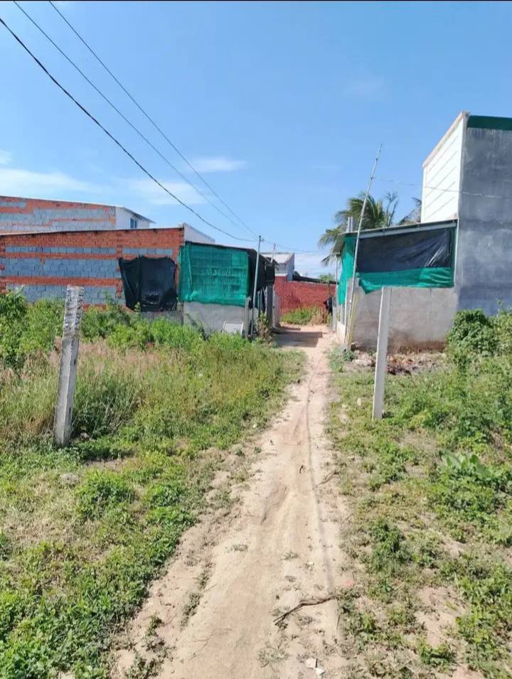 Đất Cây Lâu Năm Huyện Ninh Phước 100m² giá 170 triệu - Sổ gốc chính chủ!