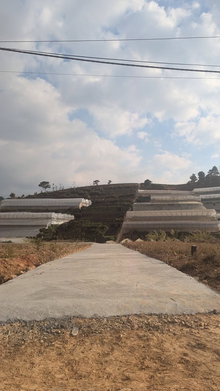 Đất nền Lạc Dương 100m² giá 1.2 tỷ - Đầu tư tiềm năng ngay hôm nay!