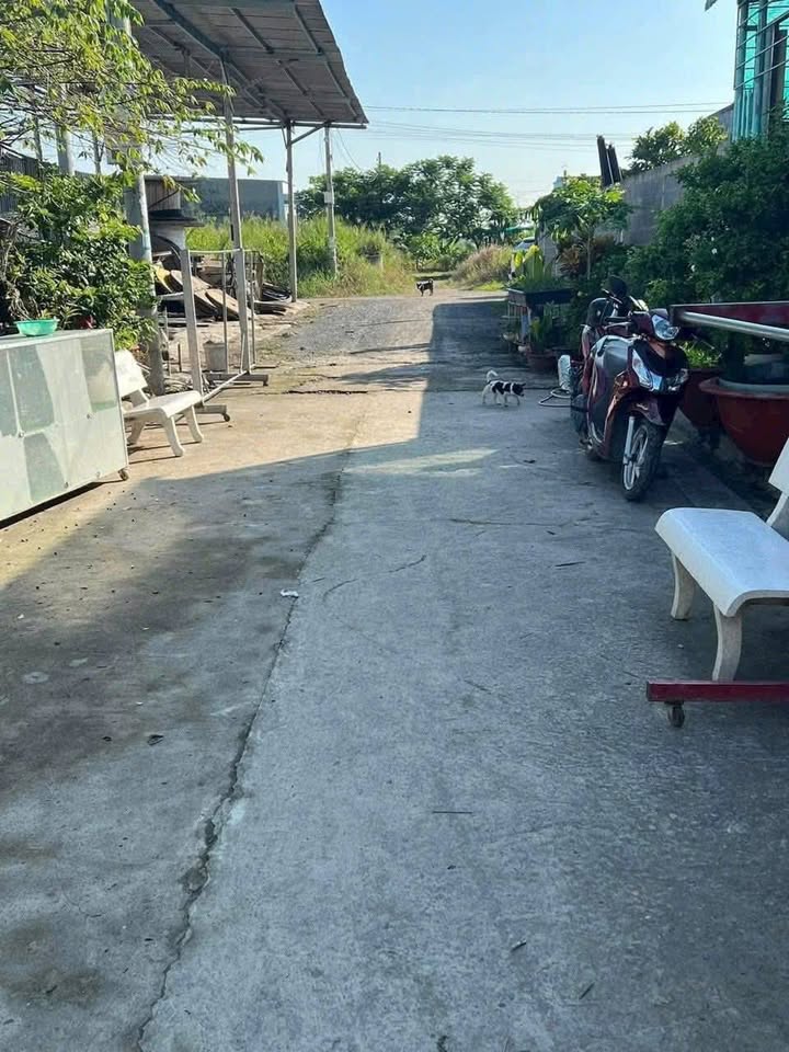 Đất thổ cư 170m² Phường 6, Tân An, Long An - Đầu tư sinh lời cao!