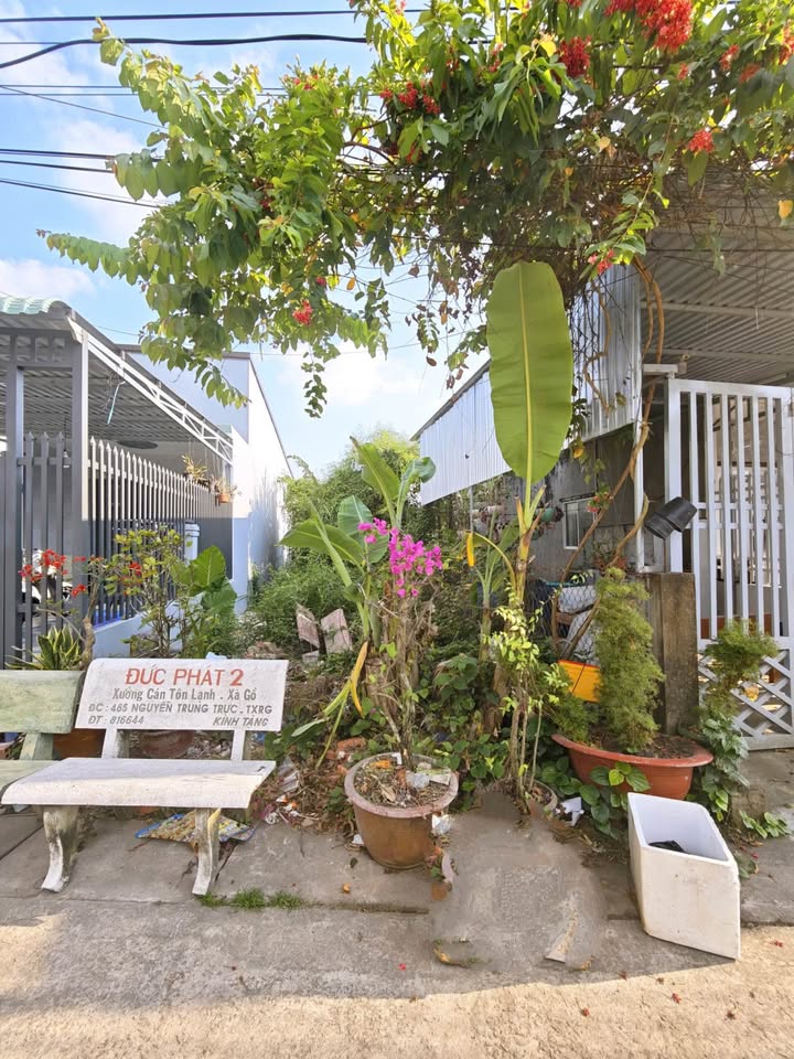 Đất hẻm ô tô Quang Trung, P Vĩnh Quang 122m² giá 980 triệu - Sổ hồng chính chủ!