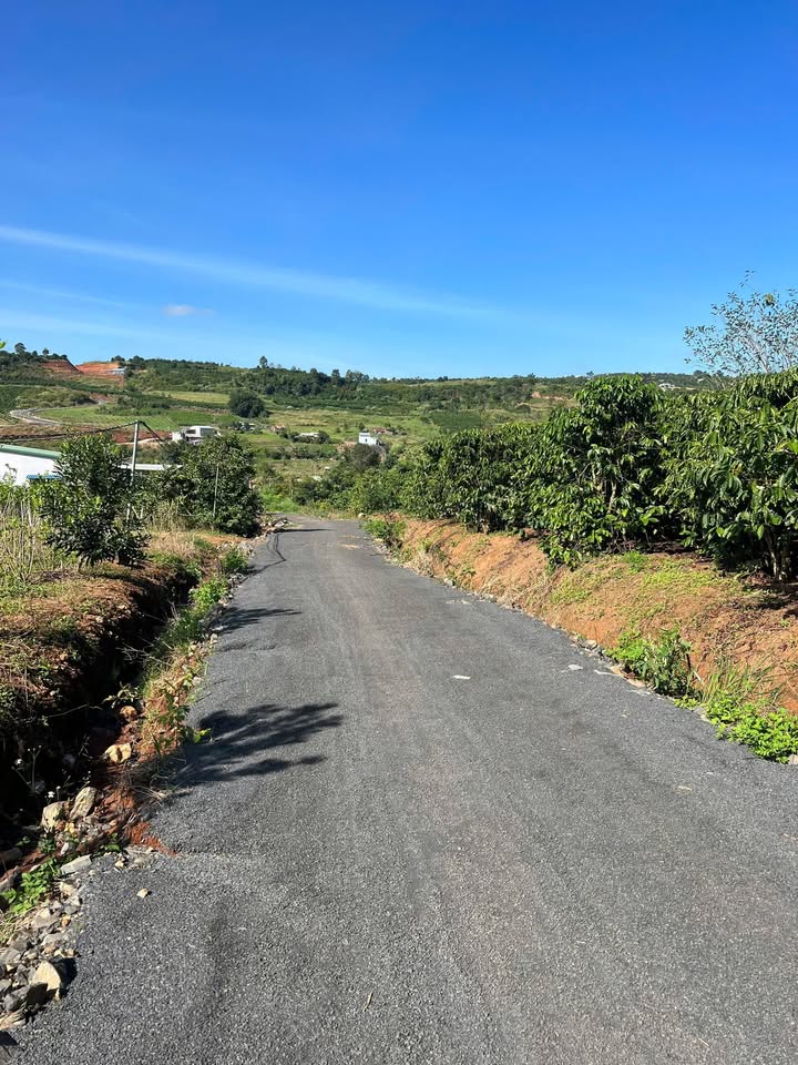 Đất thổ cư Tân Hội, Đức Trọng 200m² giá 450 triệu - Vị trí đẹp, tiện ích sẵn có!