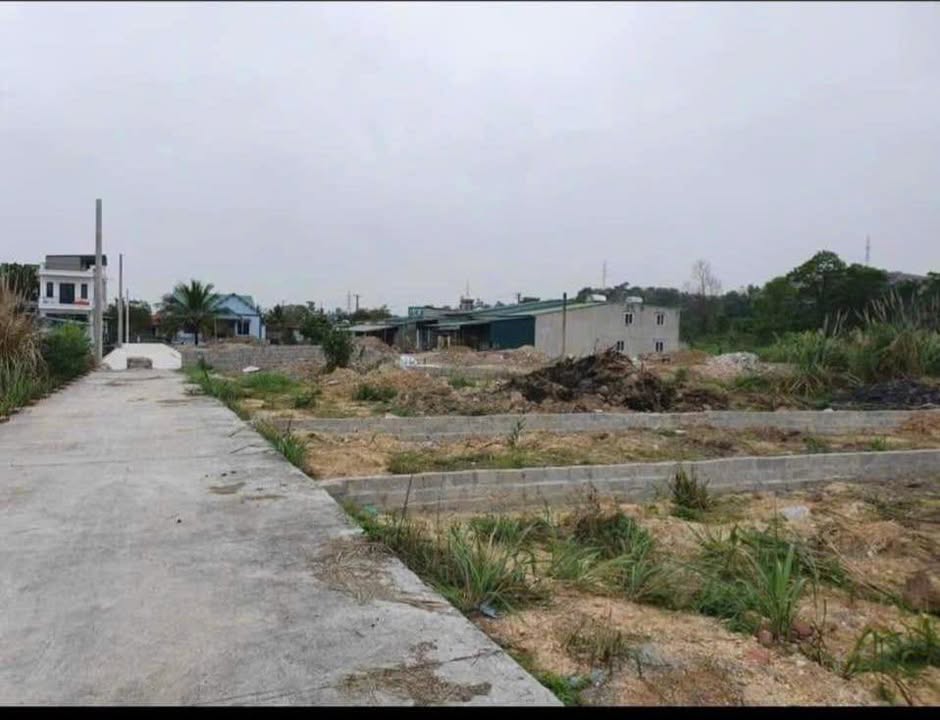 Đất nền xã Tân Dân, Hạ Long 56m² giá 1.68 tỷ - Đường ô tô vào tận nơi!