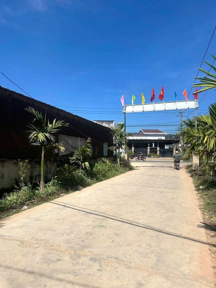 Đất nền chính chủ Thanh Bình, Bình Thạnh, Lâm Đồng - Giá chỉ 320 triệu/lô