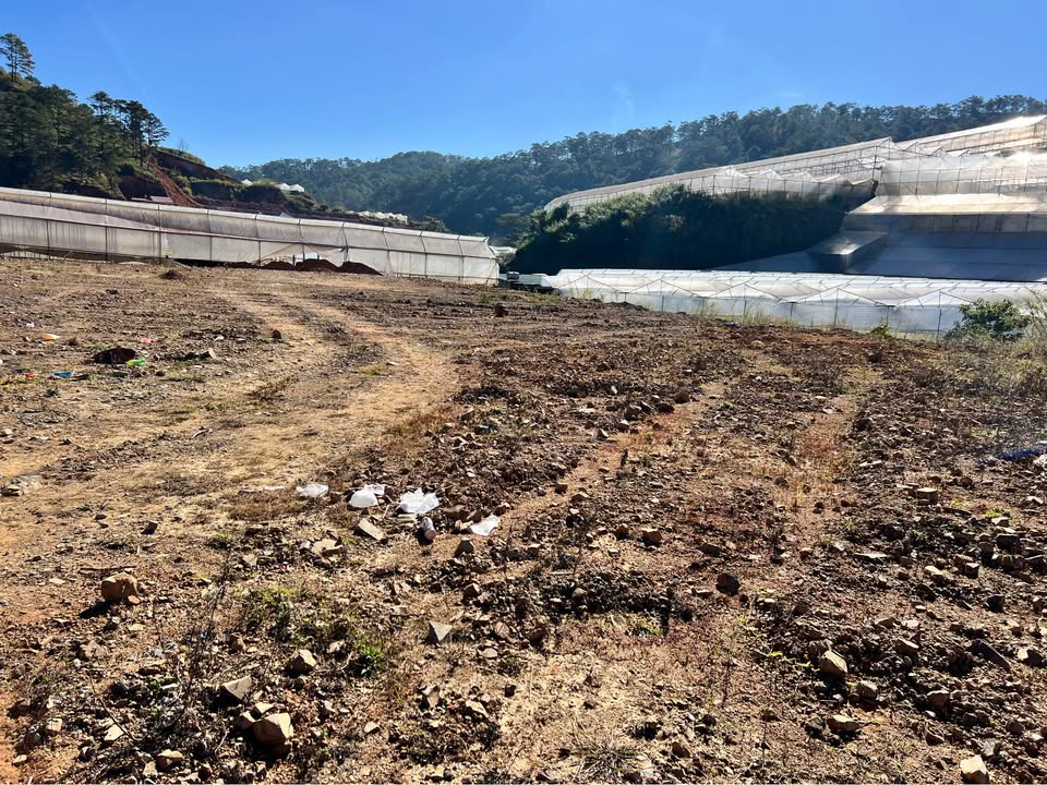 Đất thổ cư 110m² tại Đà Lạt giá 1.25 tỷ - Đường bê tông, gần trung tâm