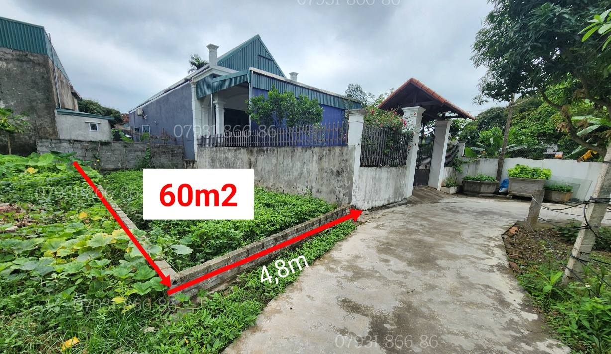 Đất nền Minh Quang Vũ Thư 60m² giá 500 triệu - Ngõ ô tô thông thoáng