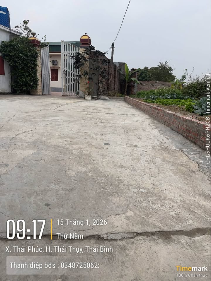 Đất nền Thái Phúc Thái Thụy 80m² giá chỉ từ 100 triệu - Đường ô tô vào tận nơi!