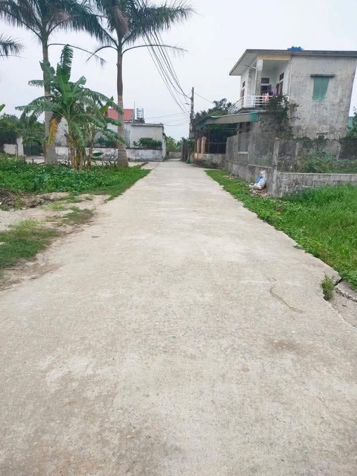 Đất nền xã Đông Xá, huyện Đông Hưng 128m² giá chỉ 10 tỷ - Cơ hội đầu tư tuyệt vời!