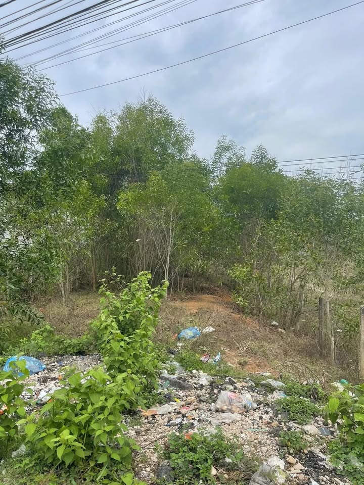 Đất thổ cư 300m² đường Nguyễn Hữu Thọ, phường Ngô Mây - Gần trường, chợ, thuận tiện kinh doanh