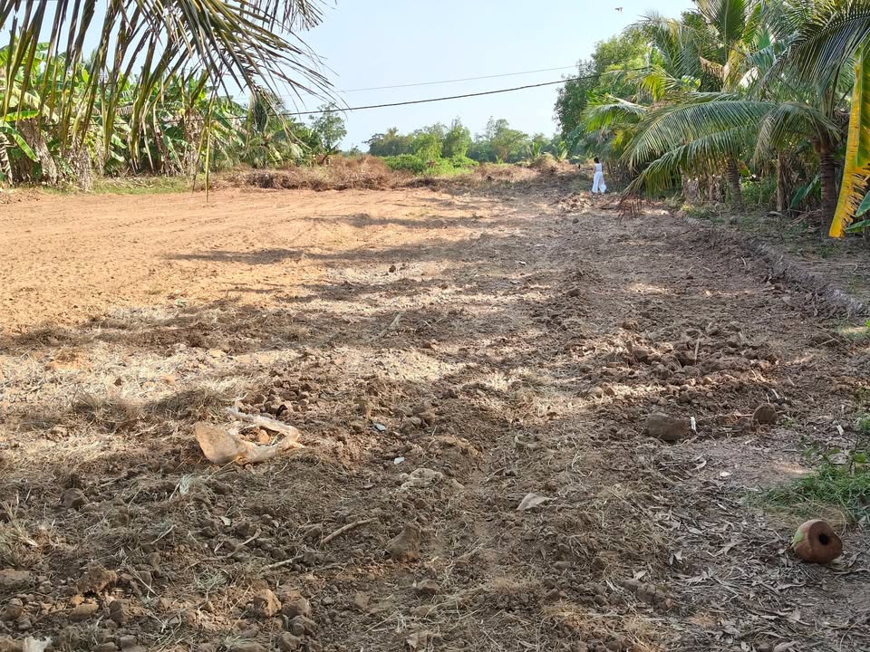 Đất nền Ấp Sóc Ruộng, Xã Ngũ Lạc, 800m² giá 48 tỷ - Mặt tiền đường nhựa, gần trường cấp 3