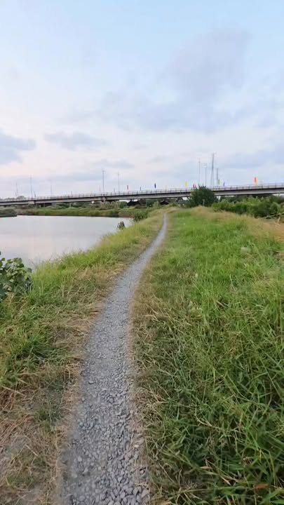 Đất nông nghiệp 37.000m² tại Xã Ngũ Lạc, Huyện Duyên Hải - Giá chỉ 205 triệu VND!