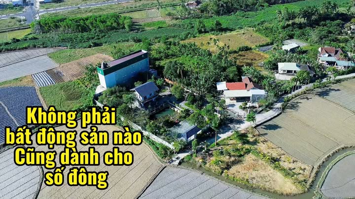 Mảnh vườn 1800m² tại Nghĩa Thương, Tư Nghĩa - Không gian sống yên bình và đầu tư bền vững!