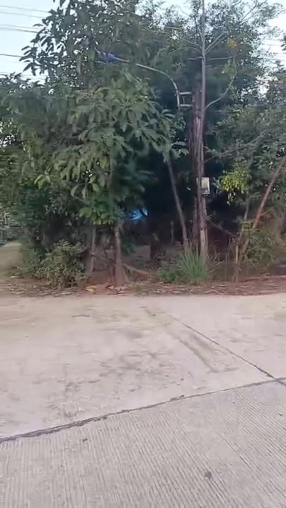 Đất Vườn Phổ Phong 481m² giá 600 triệu - Đầu tư sinh lời ngay!