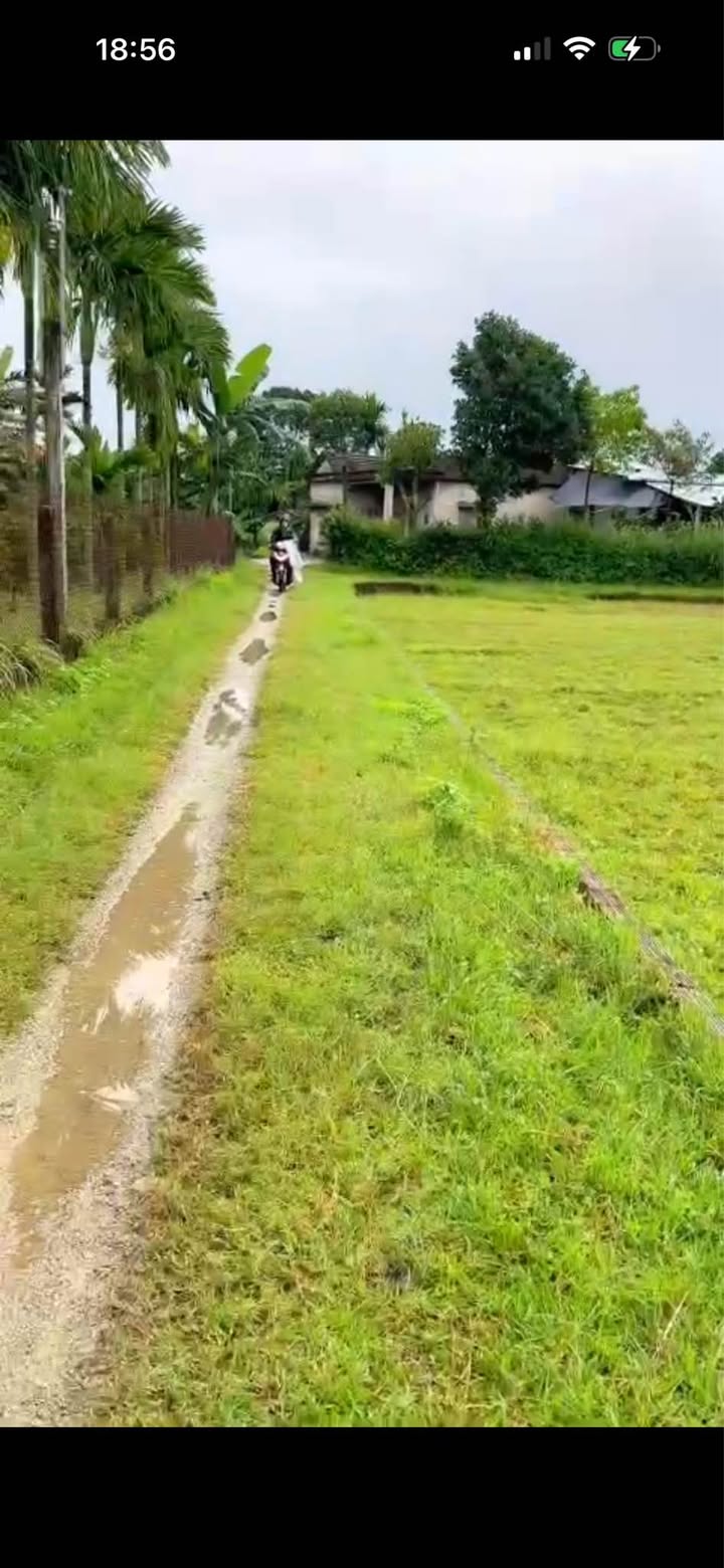 Đất thổ cư Phước Hòa, Mộ Đức 189m² giá 249 triệu - Đầu tư sinh lời ngay!