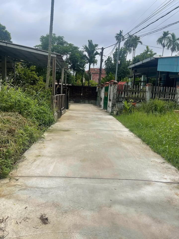 Đất nền Cẩm Châu, Điện Bàn 81m² giá 2.2 tỷ - Hướng Đông Nam, vị trí đẹp!