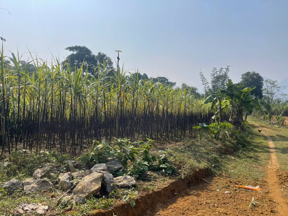 Đất nền Tân Lạc Hòa Bình 1006m² giá 5 tỷ - Cơ hội đầu tư giá tốt!