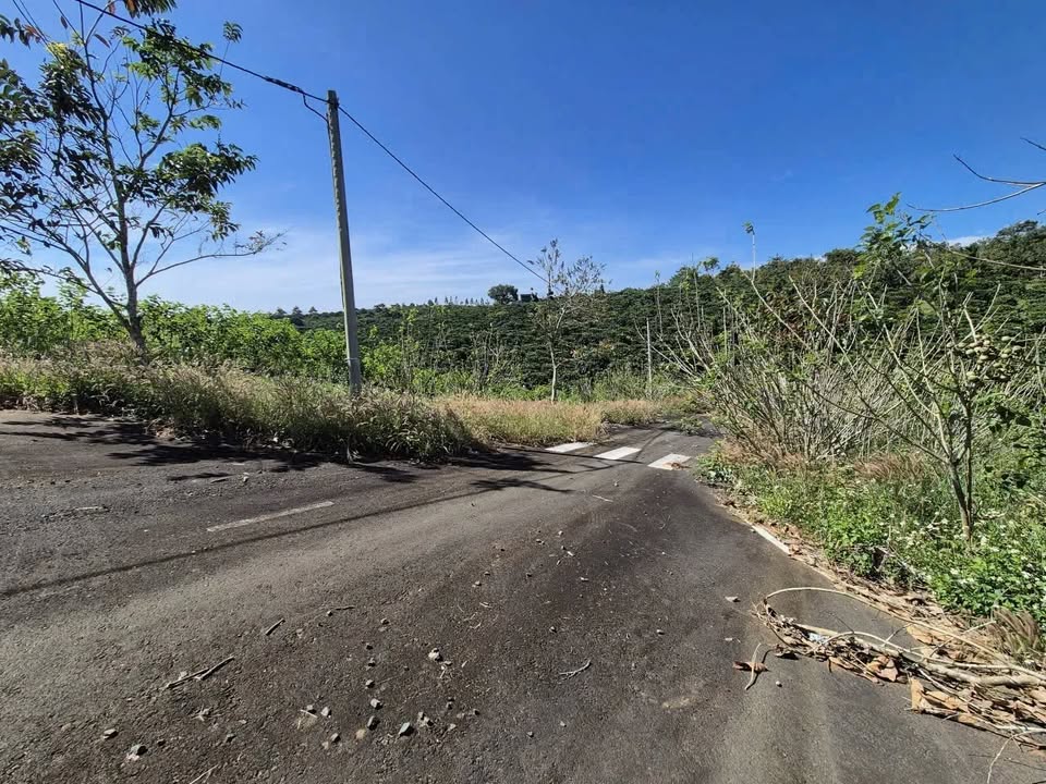 Đất nền Cối Xoay Gió Lộc An 243m² giá 850 triệu - Lô góc 2 mặt tiền hấp dẫn!