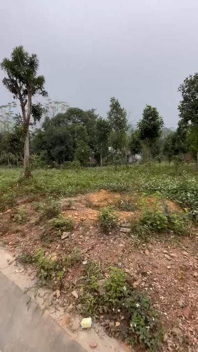 Đất nền Phúc Khánh, Yên Lập 1400m² giá chỉ 900 triệu - Đầu tư sinh lời nhanh!