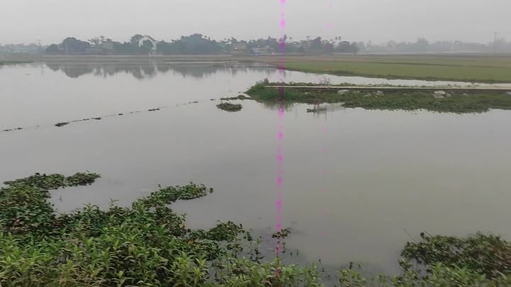 Đất thổ cư 150m² tại Xã Mỹ Lộc, Thành phố Nam Định - Giá chỉ 1 tỷ!