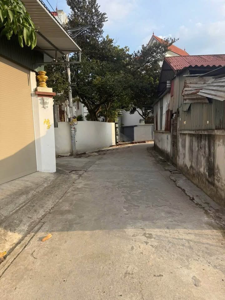 Đất Khuê Liễu, Tân Hưng 58,4m² giá 1 tỷ - Giao thông thuận tiện, sân chung rộng!