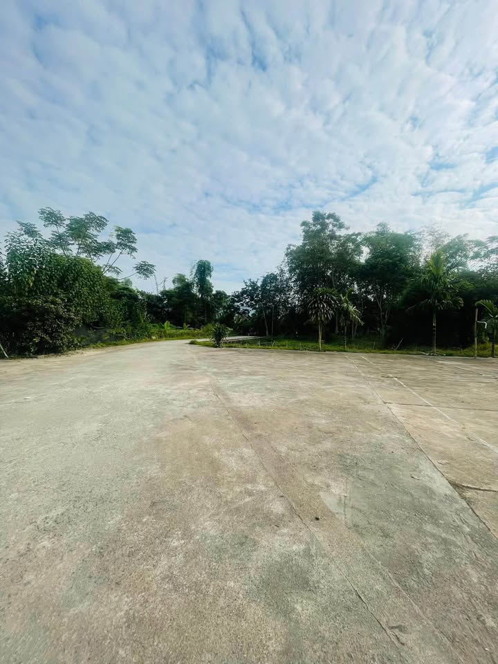 Đất Thổ Cư Thôn Mè Thượng, Hà Giang 105m² chỉ 600 triệu - Vị trí đắc địa chờ bạn!