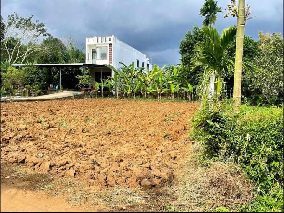 Lô đất vườn 1000m² Thôn Diêu Phong, Đà Nẵng - Vị trí đẹp view sông