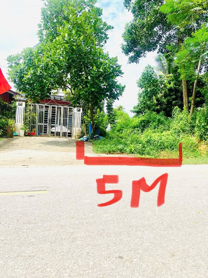 Đất thổ cư tại bản Mỏ, Xuân Lương, Yên Thế 80m² giá chỉ 7xx triệu - Cơ hội đầu tư tuyệt vời!