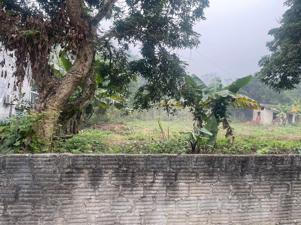 Đất thổ cư Tổ 10 Nông Tiến 700m² giá dưới 5 tỷ - Lô đất không lỗi nhỏ!