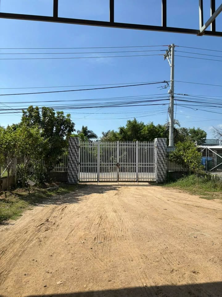 Đất thổ cư 500m² tại Thôn Thuận Hòa, Ninh Phước, giá 5.5 tỷ - Cơ hội đầu tư lý tưởng!