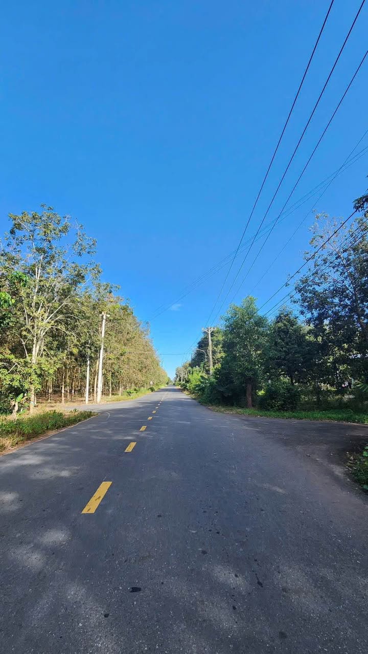 Đất thổ cư Bàu Bàng 2190m² giá 6.5 tỷ - Mặt tiền đường DH618, tiện lợi cho kinh doanh!