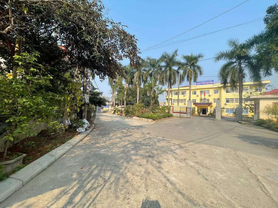 Đất phố Sơn Tập 3, Huyện Đại Từ 800m² giá 5 tỷ - Đầu tư sinh lời ngay!