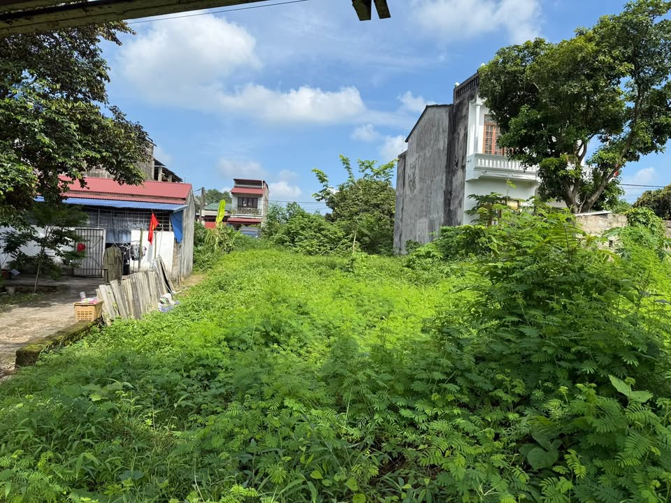 Đất nền Phường Quán Triều 66m² giá 700 triệu - Cơ hội đầu tư tuyệt vời!