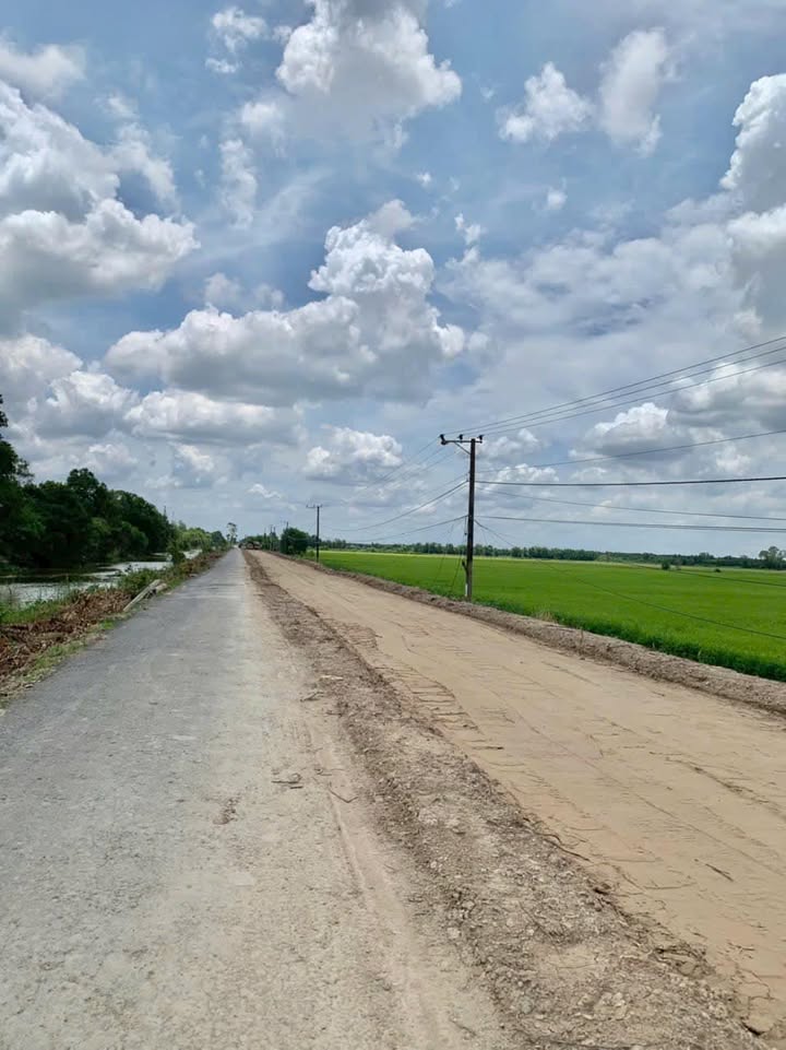 Đất nền 12,8 công tại Tân Phước, Đồng Tháp chỉ 230 triệu - Đầu tư sinh lời cao!