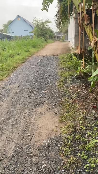 Đất nền An Thạnh Thủy, Chợ Gạo 203m² giá 200 triệu - Cơ hội đầu tư hấp dẫn!