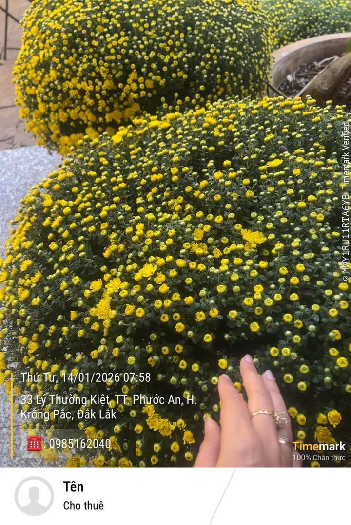 Đất nền Huyện Krông Pắc 200m² giá 1 tỷ - Bán gấp ngay cạnh Hồ Tân An!