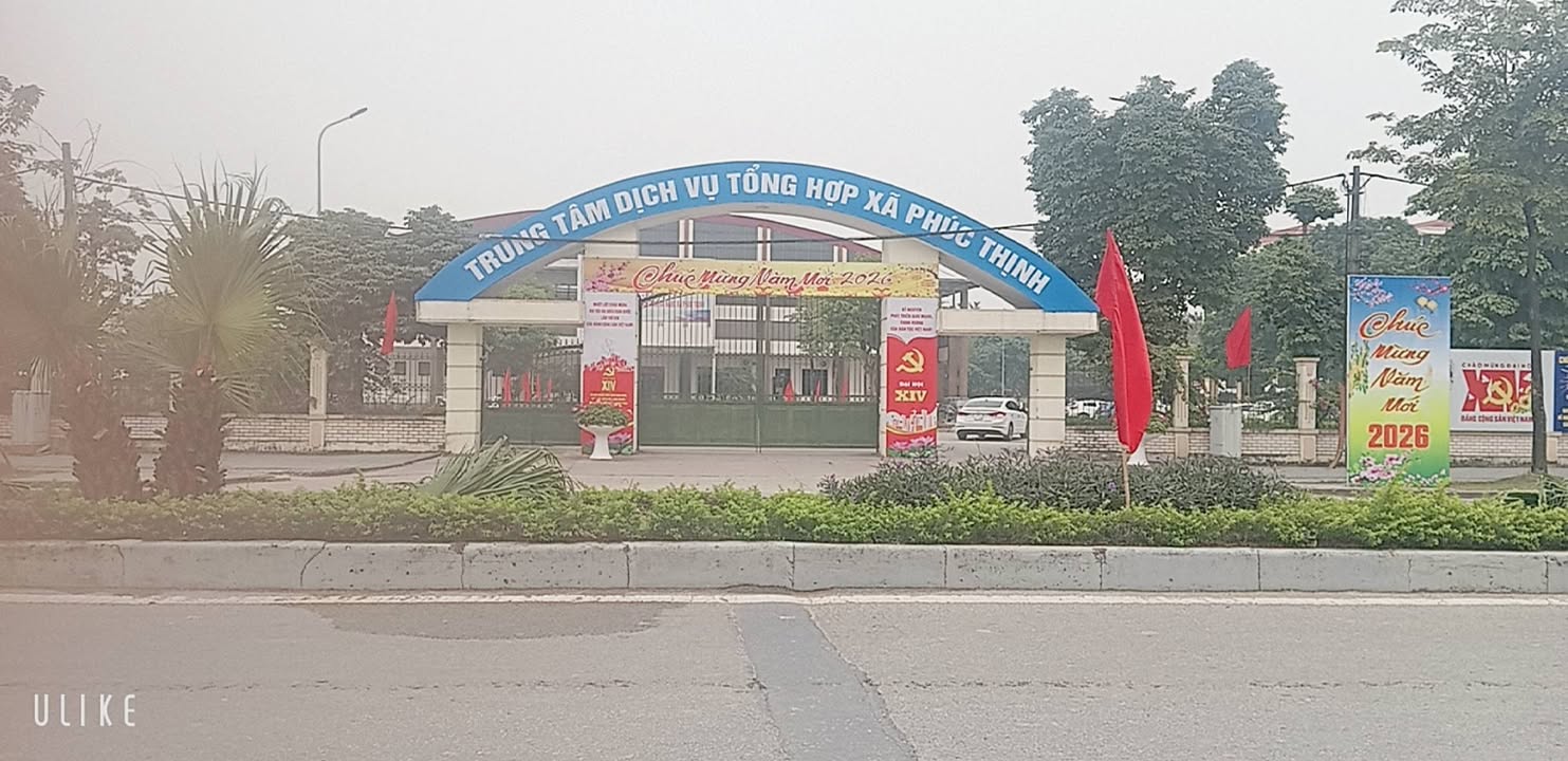 Đất thổ cư Nguyên Khê 61m² giá 40 tỷ - Đầu tư sinh lời cao!