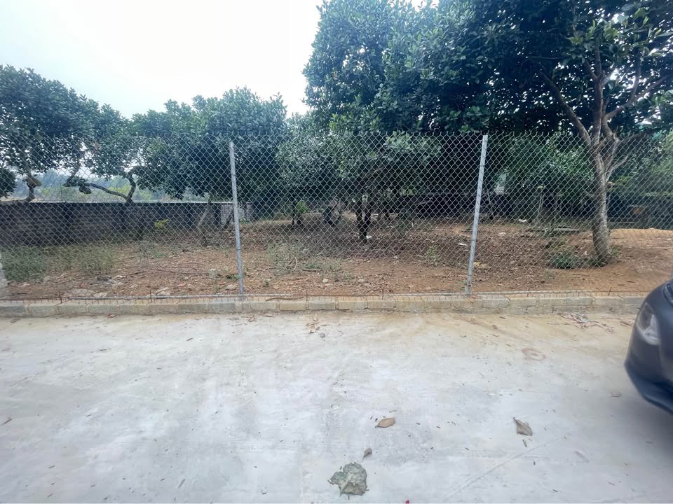 Bán lô đất 101m² Đường Tròn Phố Đi Bộ Túc Duyên - Không bao giờ ngập, gần chợ