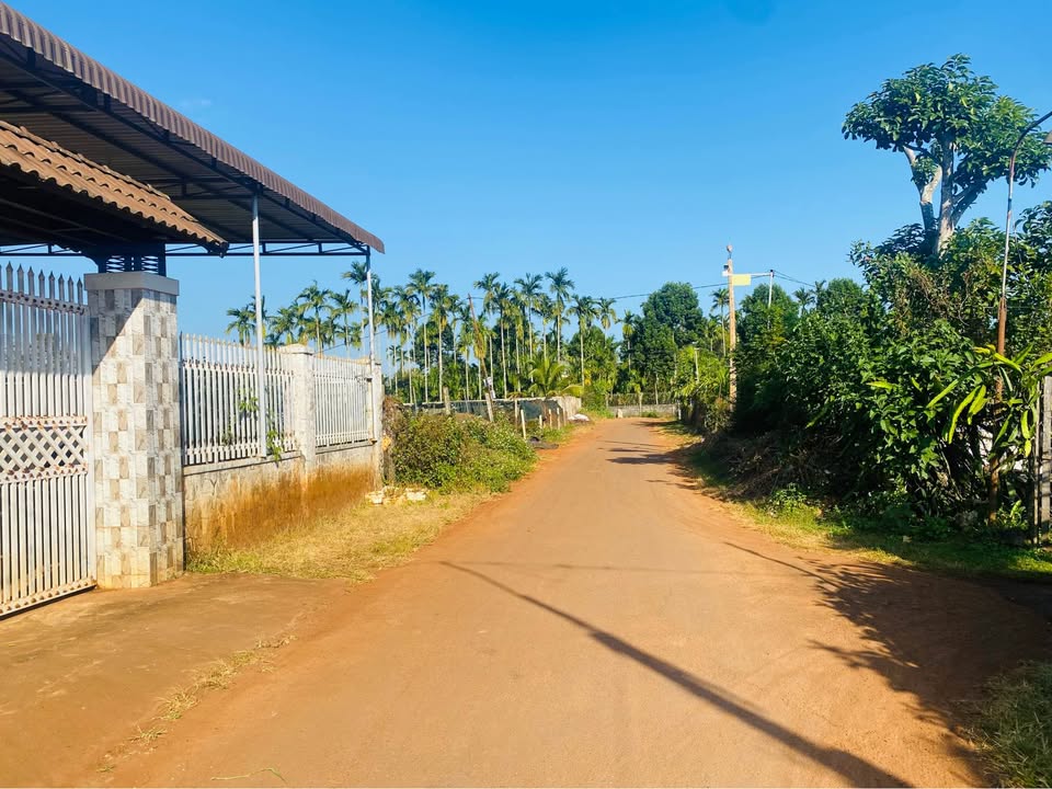 Đất hẻm 50 Đam San, Tân Lập, 333m² giá 2.96 tỷ - Đầu tư sinh lời ngay!