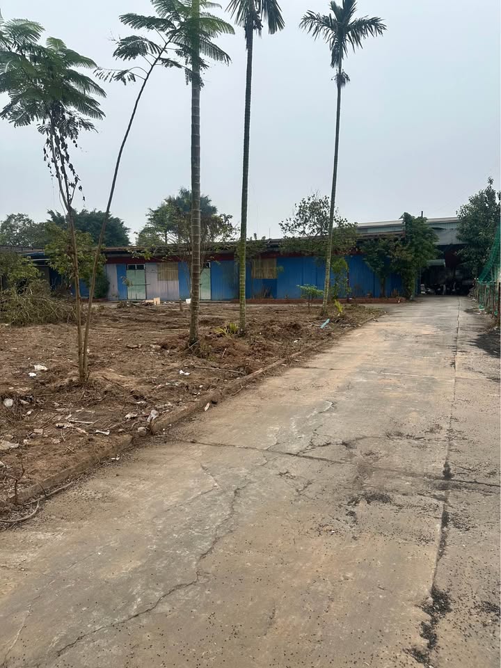 Cho thuê nhà xưởng tại Viphouse, Nam Định - Diện tích 2000m², giá thương lượng hấp dẫn!