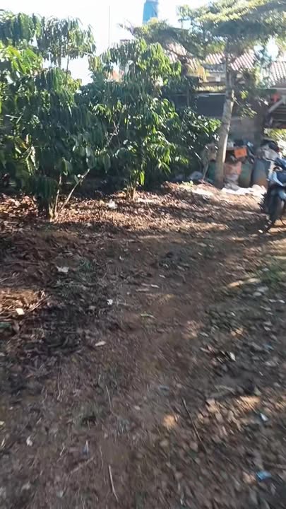 Đất ở Lạc Long Quân 5.5 sào giá 6 tỷ - Cơ hội đầu tư tuyệt vời!