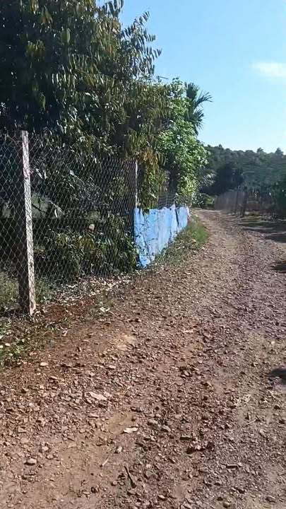 Đất nền Bảo Lộc 2500m² giá 3.75 tỷ - Đầu tư sinh lời tuyệt vời!