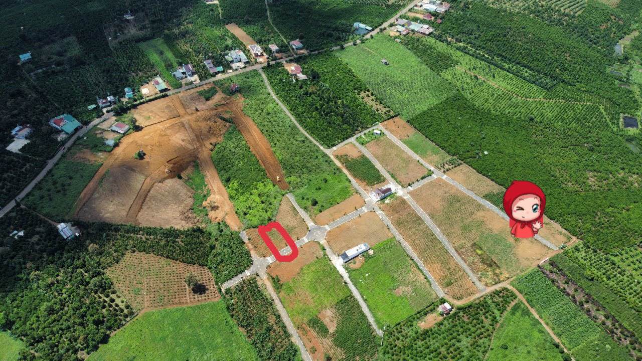 Lô đất nghỉ dưỡng Lộc An - Bảo Lộc 143m² chỉ 550 triệu - Cơ hội đầu tư tuyệt vời!