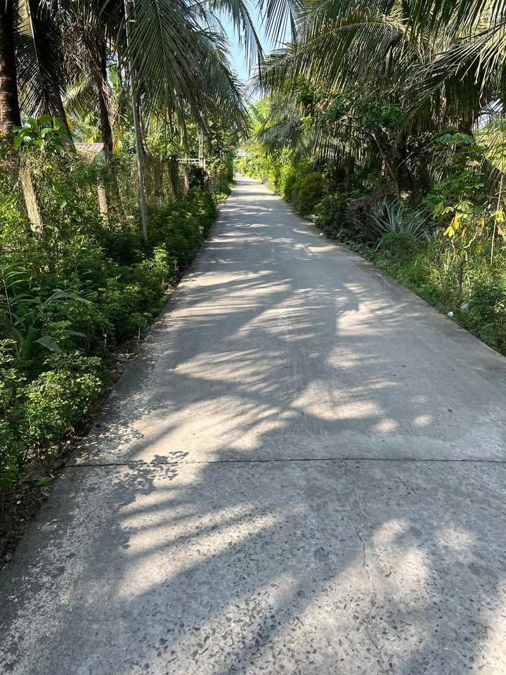 Đất nền mặt tiền tại Xã Tân Hội, Thị xã Cai Lậy, 230m² - Cơ hội đầu tư hấp dẫn!