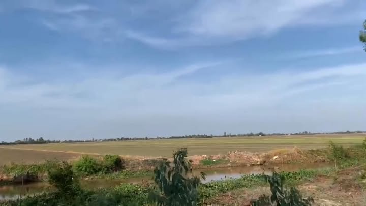 Đất nền nông nghiệp 20.000m² tại TL 819, Mộc Hóa - Giá 3 tỷ, cơ hội đầu tư hấp dẫn!