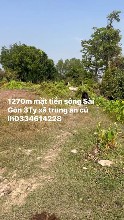 Đất mặt tiền sông Sài Gòn 1270m² xã Trung An giá 3 tỷ - Cơ hội đầu tư tuyệt vời!