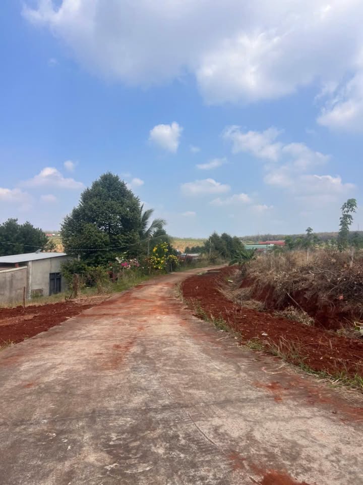 Đất nền 3300m² xã Lộc Tấn, 1.1 tỷ - Đầu tư sinh lời ngay!